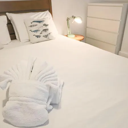 Brighton Terrace Two Bedroom House Casa vacanze Bristol